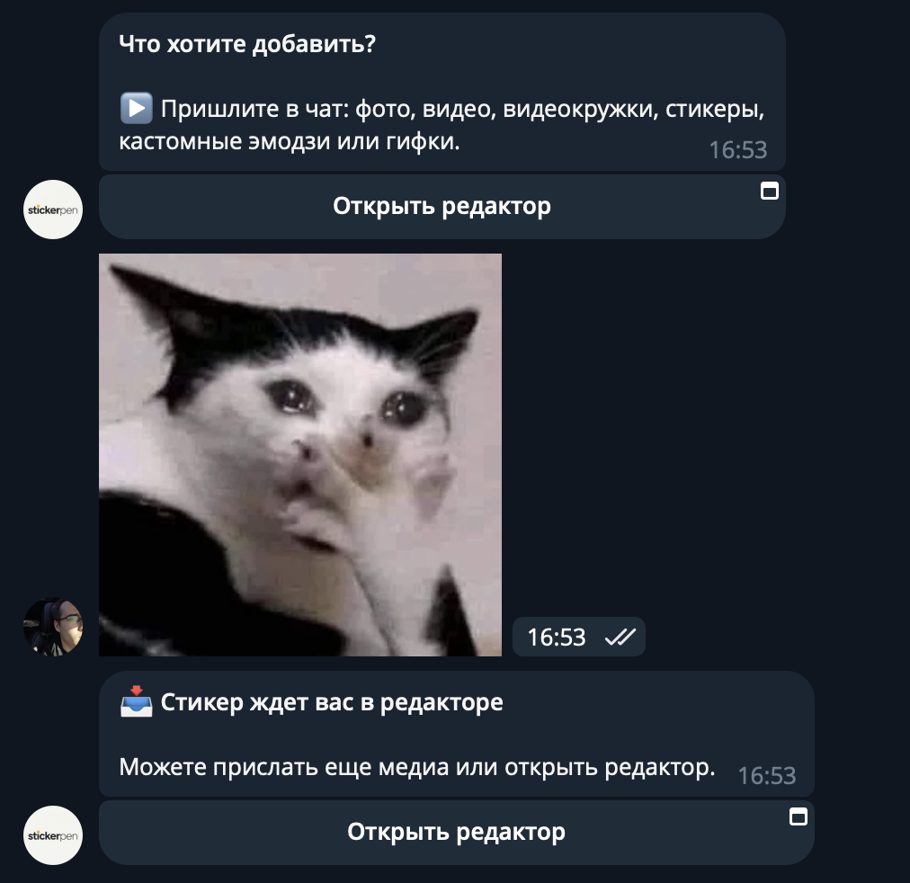 A cat photo sent to the StickerPen chat to open in the editor