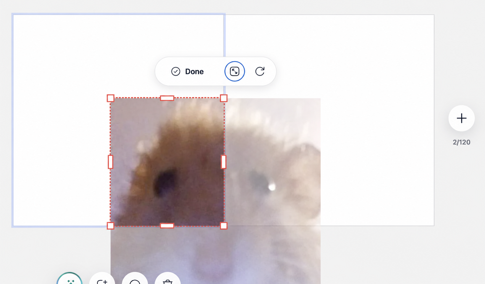 Crop mode in the StickerPen editor